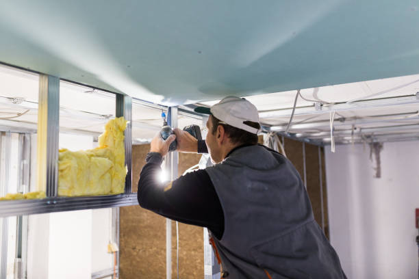 Best Affordable Insulation Services  in Murphy, NC