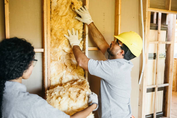 Best Crawl Space Insulation  in Murphy, NC