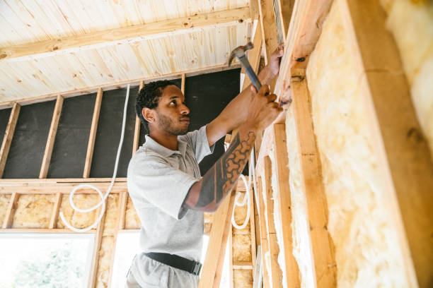 Best Insulation Removal  in Murphy, NC