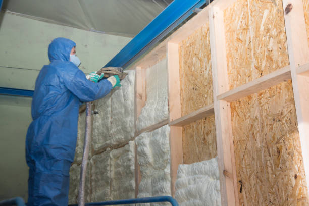 Best Cellulose Insulation  in Murphy, NC